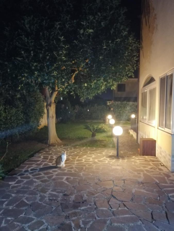 Villa Cavalluccio Marino Con Piscina Idromassaggio Carini Exterior photo